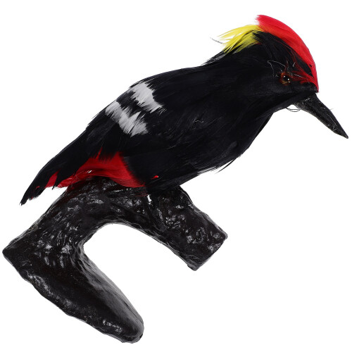 1St Federn Specht Vogel Hartmodell Simulation Lehrhilfe Dekoration