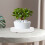 Redonda Branca Para Plantas Com Coletor De E Umidade 5
