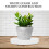 Redonda Branca Para Plantas Com Coletor De E Umidade 6