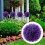 4 Pezzi Pant Decorazione Artificiale Da Giardino 7