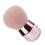 1 Pincel Para Pó Para Blush E Base 1