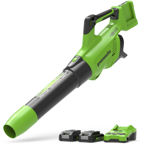 Greenworks 48V (24V x 2) Leaf Blower 217 km/h - 2x 2Ah Battery