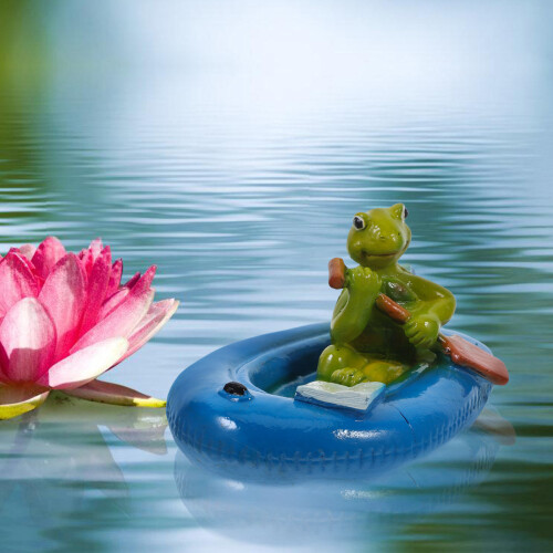 De Decorativa Para Piscina 2