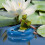 De Decorativa Para Piscina 5