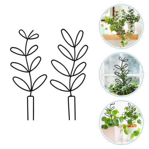 2 Unidades Suporte Para Plantas Trepadeiras 2