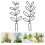 2 Unidades Suporte Para Plantas Trepadeiras 5