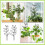 2 Unidades Suporte Para Plantas Trepadeiras 9