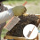 2Pcs Portable Beehive Brush Soft PVC Bristles Wood Handle Multicolor 5
