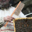 2Pcs Portable Beehive Brush Soft PVC Bristles Wood Handle Multicolor 9