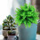 1 Pingente De Bola De Grama Artificial Verde Decoração 5