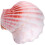 Decorativo Forma De Caracol E 9