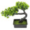 5 Unidades De Bonsai De Artificial 1