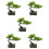 5 Unidades De Bonsai De Artificial 10