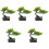 5 Unidades De Bonsai De Artificial 5