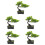 5 Unidades De Bonsai De Artificial 8