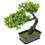 5 Unidades De Bonsai De Artificial 2