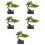 5 Unidades De Bonsai De Artificial 9