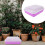 Garden Sprouter Bakje Met 3