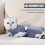 Post-Operations-Katzen-Body mit vier Beinen, dehnbare-XS 6