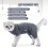 Felines Genesungsanzug, 4-beinig, dehnbar, postoperatives-L. 5