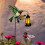 Hummingbirds Lanterns Solar Light Outdoor Decorations Solar-A 5