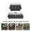 Scatole Germinazione In PVC Con Per Da 7