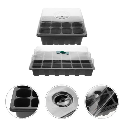 Scatole Germinazione In PVC Con Per Da 2