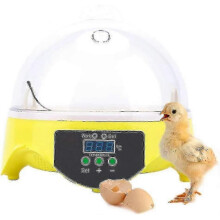 Automatic 7 Egg Incubator Digital Egg Hatcher with Intelligent Auto Rotating Mini Incubator Uniform Heating for Egg Poultry Duck Hen 16*17.5cm