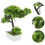 Árvore Bonsai Artificial Vaso Decoração De Planta 6