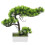 Árvore Bonsai Artificial Vaso Decoração De Planta 10