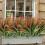 2PCS Realistic Faux Orchids Plant Bendable Stems-B 3 2