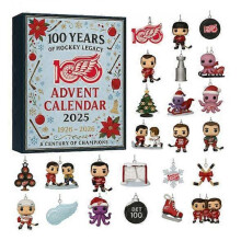 2025 Christmas Advent Calendar -Best Christmas Gift for Kids 24 Days Countdown Calendar Anime Blind Box Acrylic Ornaments P21