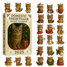 2025 Christmas Advent Calendar -Best Christmas Gift for Kids 24 Days Countdown Calendar Anime Blind Box Acrylic Ornaments P2