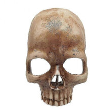 Halloween Skull Night Lamp with Bulb Fashionable Interseting Atmosphere Lamp for Atmosphere -CHAN