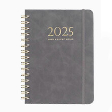 (Gray) 2025 Daily Planner Iyyever, Daily Planner 2025 -CHAN