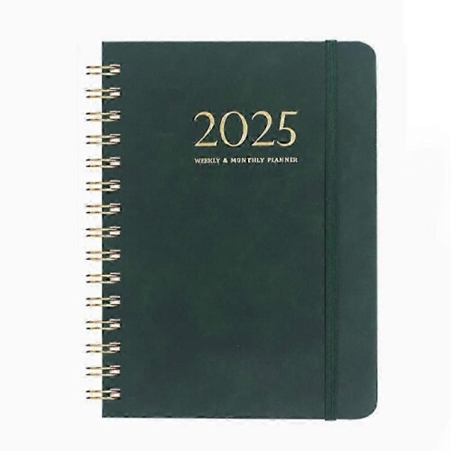 (Green) 2025 Daily Planner Iyyever, Daily Planner 2025 -CHAN