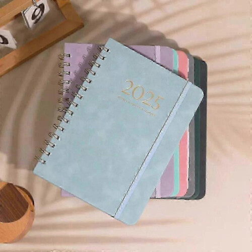 (Black)2025 Daily Planner Iyyever, Daily Planner 2025 -CHAN 1