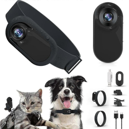 (No SD Card) Cat Camera Collar - Hd 1080p Wireless Dog Collar Camera -CN