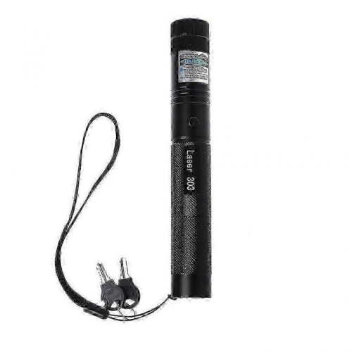 303 Red/Purple Light Laser- Pointer Pen 5mW 532nm Burning Match Visible Beam
