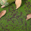 Turf De Artificial Grama Realística Para Casa Pátio 3