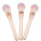 3Pcs Pincel Facial, Pó , Gradiente, Profissional 11