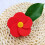 1 Set Blumenform Kontaktlinsenbox Kosmetisches Linsentragetasche 5