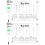 2 Sets Transparente Whiteboard Mit Handgeschriebener Nachrichtentafel 5