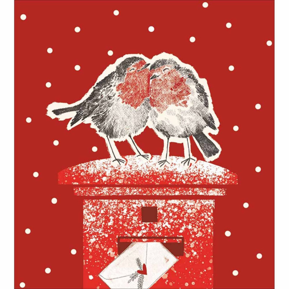 Woodmansterne Pack Of 5 Charity Christmas Cards Robins Love Birds Cards Multiple Charities