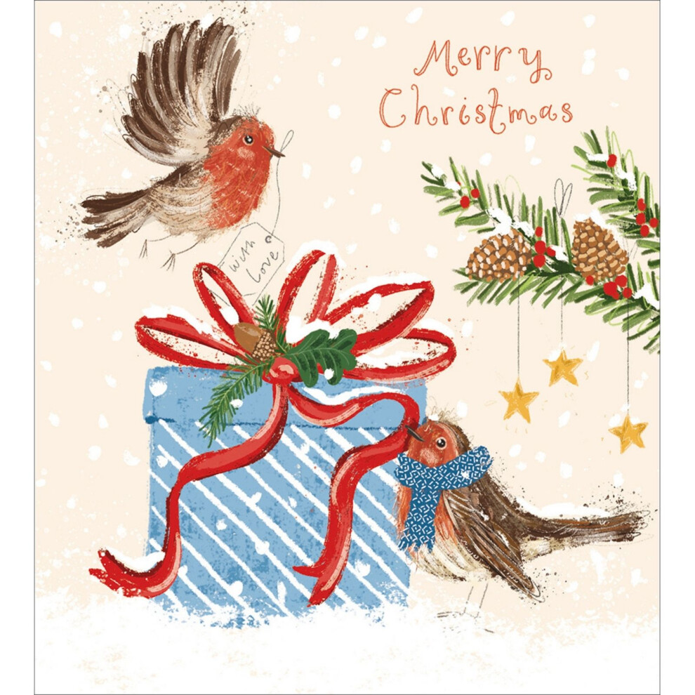 Woodmansterne Pack Of 5 Charity Christmas Cards Festive Robins Cards The Greenfingers Charity