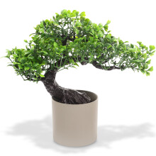 5Stk Simulationstanne Für Büro Und Zuhause Realistische Bonsai