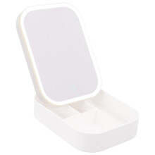 Illuminated LED Makeup Mirror With Fill Light And Organizer