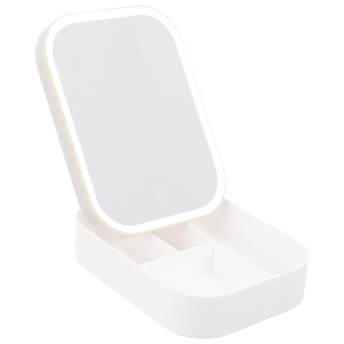 Illuminated LED Makeup Mirror With Fill Light And Organizer