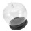 De Vidrio Con Flor Conservada Forma Manzana Base Luminosa 8