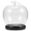 De Vidrio Con Flor Conservada Forma Manzana Base Luminosa 5